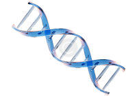 L Drug Deco Copyright 3